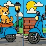 Kde jsou tři rozdíly mezi oběma kočkami: jen „génius hádanek“
