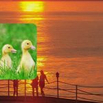Pouze 1 procento lidí s vysokým IQ rozpozná na fotografii