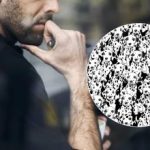 Ti nejpozornější najdou pejska bez skvrn: test pro ty nejchytřejší